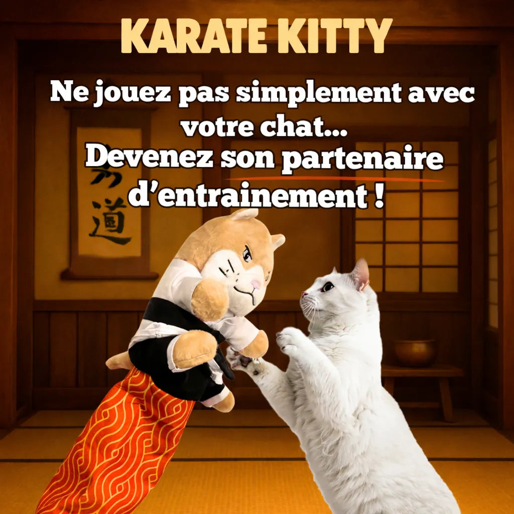Karate Kitty™ - Libérez le ninja de votre chat!